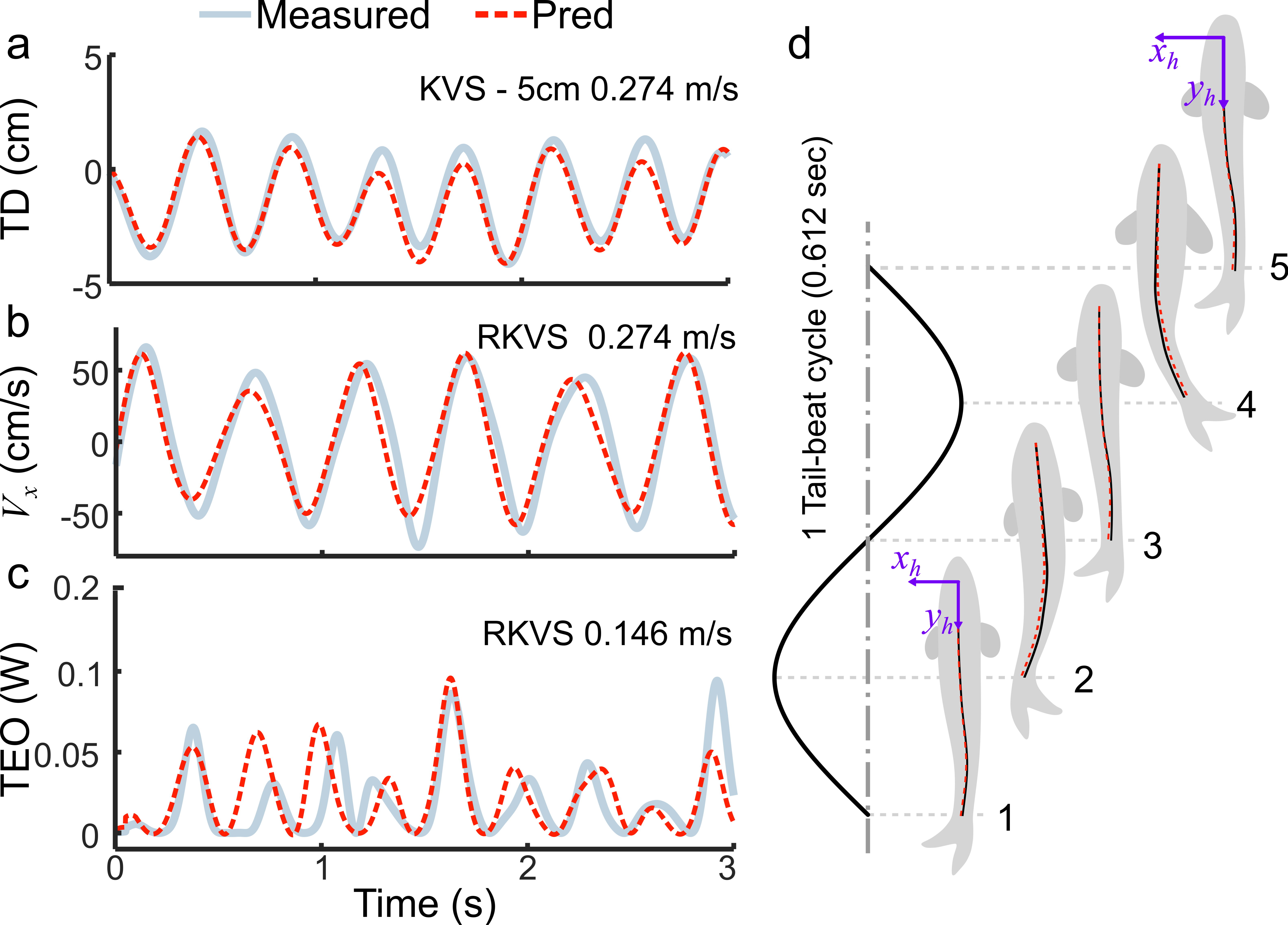 Tail displacement, lateral velocity, and total energy output from reconstructed pose